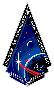 Exp.45 patch
