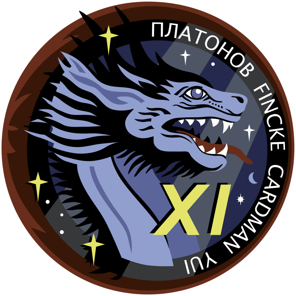 Crew-11 patch