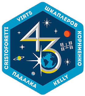 Exp.43 patch