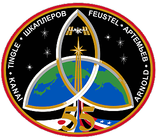 Exp.55 patch