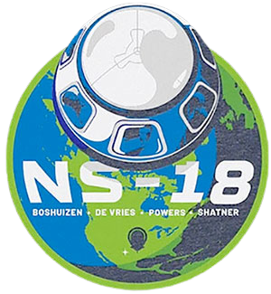 NS-18 patch