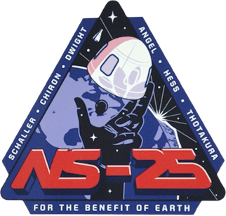 NS-25 patch