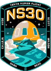NS-30 patch