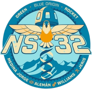 NS-32 patch